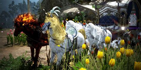 black desert season|black desert online current season.